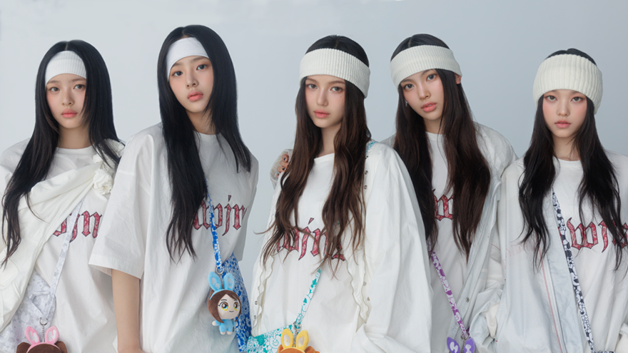 🐰🐰🐰🐰🐰🪩