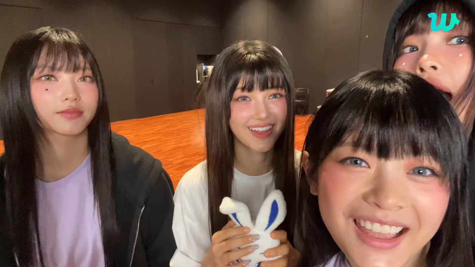 🐰🐰🐰🐰🐰🤍🤍