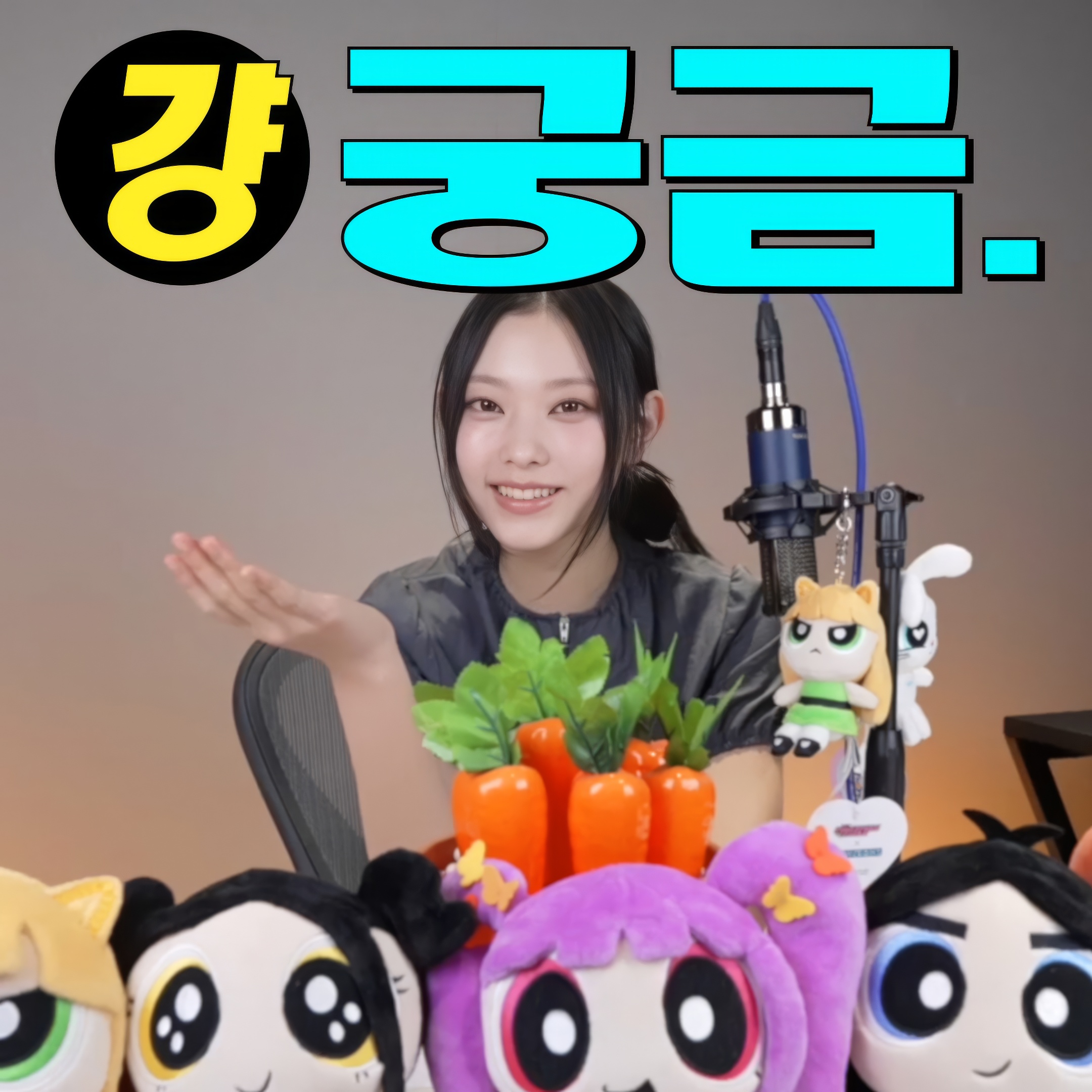 240826 | 걍 궁금(Just Curious) | EP.3 실바니안 패밀리의 세계로 (Into the World of Sylvanian Families)