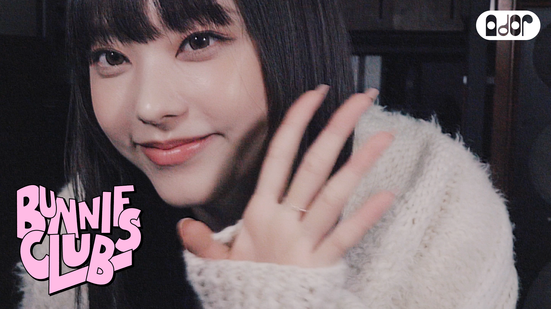 Bunnies Club Membership Application [HAERIN]